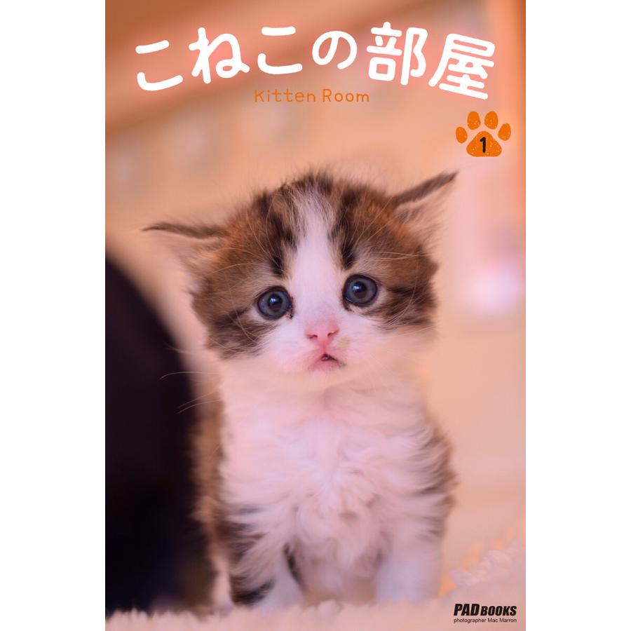 こねこの部屋 電子書籍版   著:Mac Marron