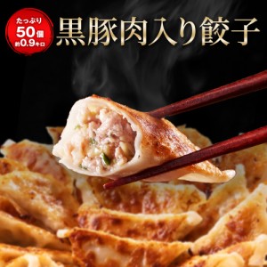 餃子 ぎょうざ ギョウザ ギョーザ 黒豚肉入り餃子 冷凍餃子 生餃子 50個 一龍堂 冷凍食品 食品 惣菜 中華惣菜 点心 中華 中華点心 グルメ