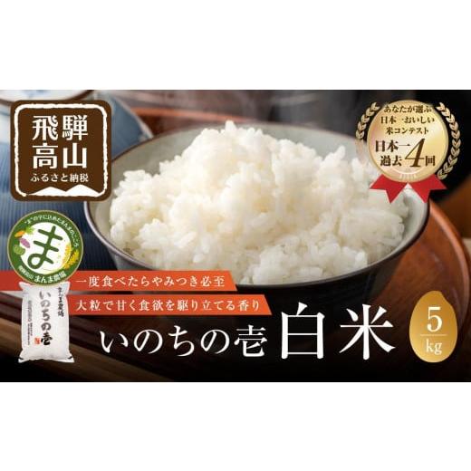 ふるさと納税 岐阜県 高山市 お米 いのちの壱  5kg 白米 新米 特別栽培米  金賞受賞農家 品種別金賞 日本一４度受賞 飛騨 まんま農場 LT003