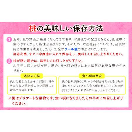 ふるさと納税 桃 もも 岡山の桃 合計1.3kg (約4〜8玉)《2024年6月下旬-9月上旬頃より順次出荷》ご家庭用 訳あり スイ.. 岡山県矢掛町