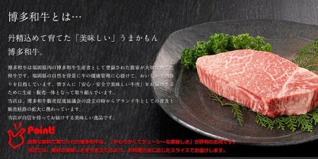 博多和牛サーロインブロック1kg