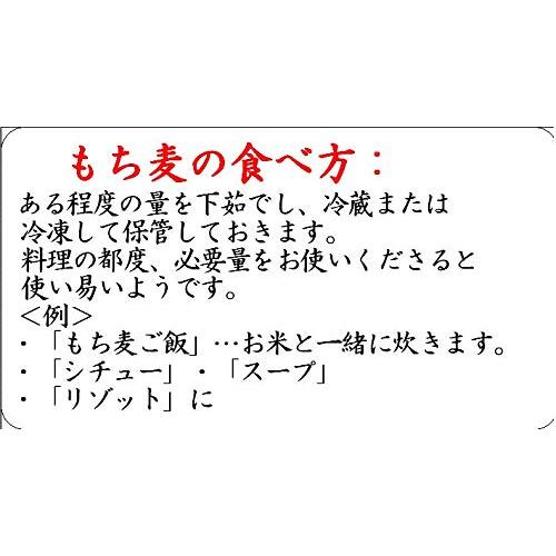 ＊食材専用！*令和３年産（佐賀県）『モチ麦』（ダイシモチ）　300ｇ （※農薬も化肥も不使用です！）