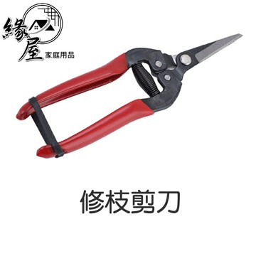 修枝剪刀【緣屋百貨】天天出貨 花剪 花枝剪 摘果剪 水果剪 蔬果剪 採果剪 剪刀 園藝修剪 樹枝剪 剪枝剪刀 手握剪刀