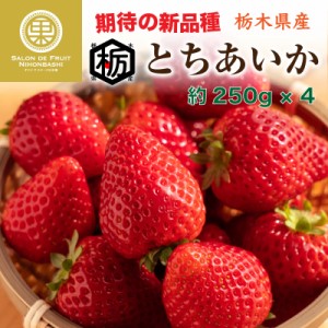 [予約 2024年2月11日-2月14日の納品] バレンタインデー とちあいか いちご 約250g×4パック 苺 栃木県産