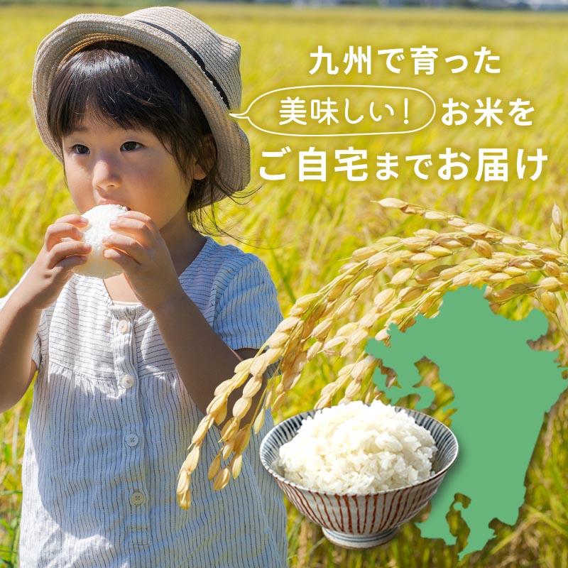 令和5年産 熊本県産 無洗米 キヌヒカリ 10kg（5kg×2袋） 米 精米 白米 お米 こめ 熊本 熊本の米 産地直送 送料無料