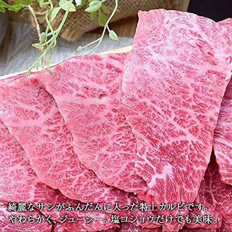 佐賀牛 宮崎牛 和牛カルビ 銘柄豚 焼肉セット A5 500g 国産 高級 黒毛和牛 銘柄豚 和牛 牛肉 豚肉 肉 詰め合わせ ギフト 肉の