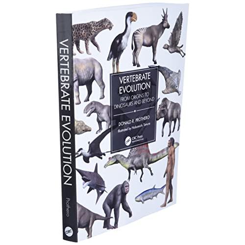 Vertebrate Evolution: From Origins to Dinosaurs and Beyond