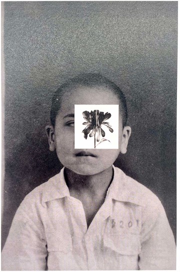 經典藏品明信片 族譜肖像 叔叔II