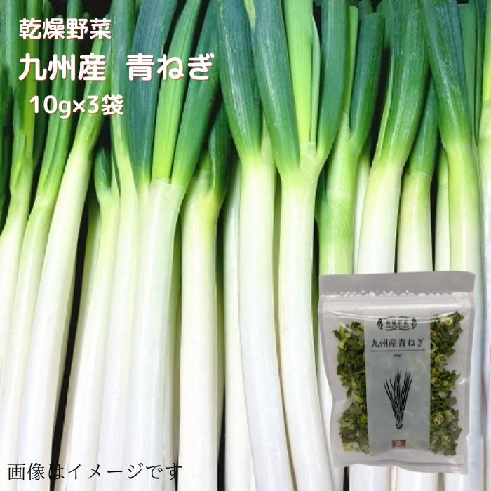 乾燥野菜 九州産 青ねぎ 10ｇ×3 送料無料  長期保存 常温  乾燥 乾燥野菜 野菜 簡単便利 時短 ねぎ 長ネギ ながねぎ