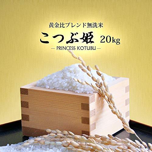  無洗米 20kg (5kgx4袋) こつぶ姫 山形県産 白米