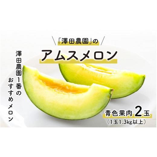 ふるさと納税 福井県 あわら市 アムスメロン（1.3kg以上 2玉入) とろけるような果肉が絶品！ ／ 期間限定 果物 フルーツ 産地直送 青肉 人気 ※20…