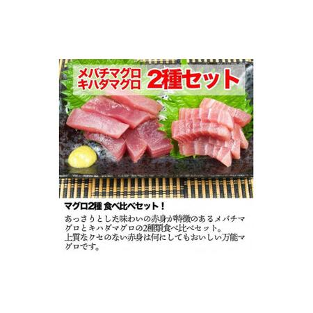 ふるさと納税 訳あり 天然マグロ2種類 食べ比べ セット 詰め合わせ 合計800ｇ ブロック 小分け 訳アリ 海鮮 冷凍 鮪（まぐろ） 規格外 故郷納税 .. 高知県土佐市