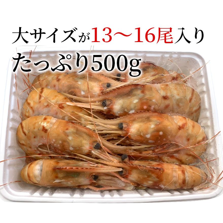 ぼたんえび 海鮮 ギフト 大13〜16匹 500g 冷凍 川村鮮魚店 エビ ボタンエビ   2023 プレゼント ギフト