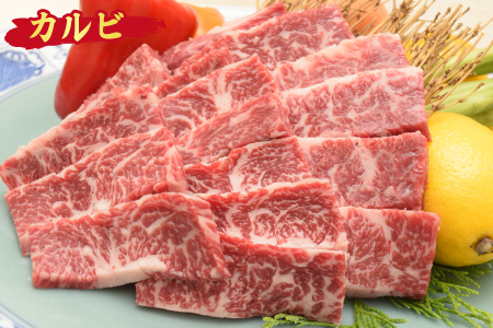 佐賀牛 カルビ 焼肉用 800g A5 A4 (H085103)