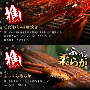 ふるさと納税 鹿児島県産 うなぎ蒲焼 大 4尾セット 鰻蒲焼 計約560g(約140g×4尾) タレ・山椒付き 鰻 ウナギ 国産【おおさき町鰻加工組合.. 鹿児島県曽於市