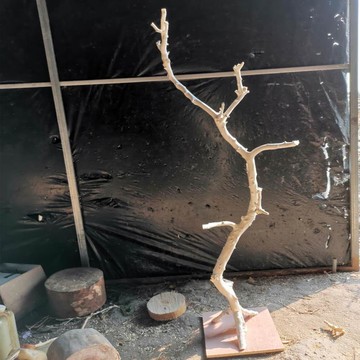 去皮插花樹杈吊頂樹枝干枝枯枝裝飾衣架樹干掛件造型藝術原木樹杈