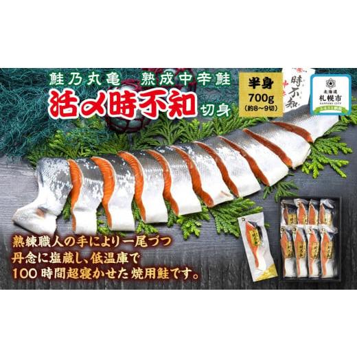 ふるさと納税 北海道 札幌市 鮮度の良い時不知鮭だけを厳選！鮭乃丸亀　熟成中辛鮭（活〆時不知）切身