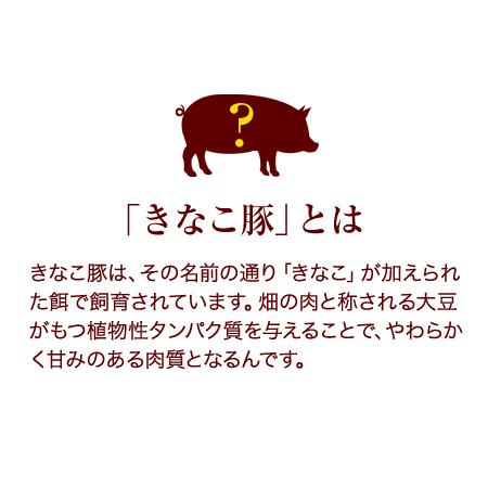 ふるさと納税 きな粉豚ロース手造りみそ漬け10枚 ※1枚ずつ真空パック 肉のみやべ《90日以内に順次出荷(土日祝除く)》 熊本県御船町