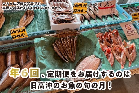 ＜定期便6回＞北海道産 旬のお魚 4~5種 お楽しみ定期便