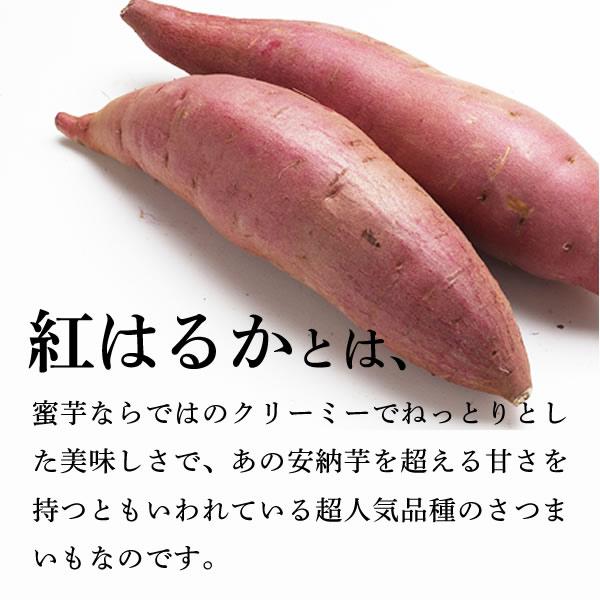 さつまいも 紅はるか 5kg M・Lサイズ 送料無料 サツマイモ さつま芋 千葉県産 国産