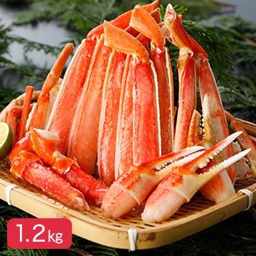 本ズワイガニ カナダ産 ボイル ハーフカット 切り蟹 1.2kg(600g×2パック)