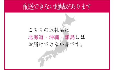 ぶどう 2024年 先行予約 9月・10月発送 シャイン マスカット 晴王 1房 約700g ブドウ 葡萄  岡山県産 国産 フルーツ 果物 ギフト