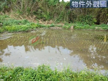 有財該買地，中壢區近SOGO.都計內田最便宜農地｜桃園市中壢區三座屋段舊社小段