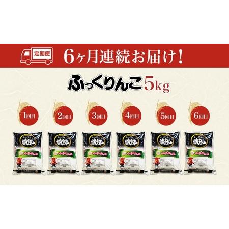 ふるさと納税 北海道 定期便 6ヵ月連続6回 木古内産 ふっくりんこ 5kg 特A 精米 米 お米 白米 北海道米 道産米 ブランド米 ごはん ご飯 ふっく.. 北海道木古内町