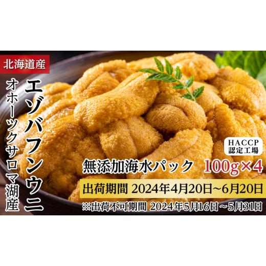 ふるさと納税 北海道 佐呂間町 サロマ湖産 無添加 バフンウニ 400g（100g×4）海水パック［2024年4月下旬出荷開始先行予約］ 北海道 オホー…