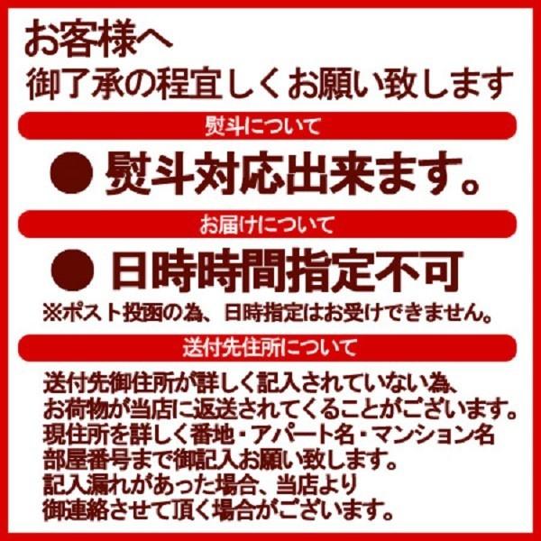 パスタ 送料無料 パスタ 乾麺 細麺 米パスタ パスタ ポイント消化 スパゲッティ 米粉 使用 1袋(2人前)×5袋