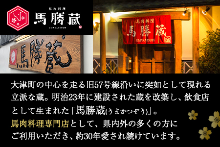 馬勝蔵 厳選 馬刺し詰め合わせ 馬勝蔵《90日以内に順次出荷(土日祝除く)》 冷凍 ブロック 馬刺し 馬肉 馬 霜降り 上赤身 特上 たれ付き