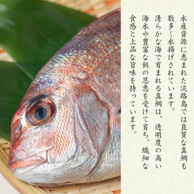 ふるさと納税 淡路市 淡路島産 真鯛アヒージョ 140g×3本