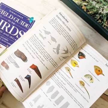 英國/愛爾蘭鳥類實地指南