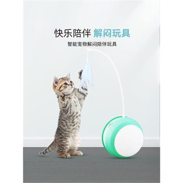 充電款電動貓玩具LED不倒翁運動球帶羽毛釣竿自動滾動逗貓