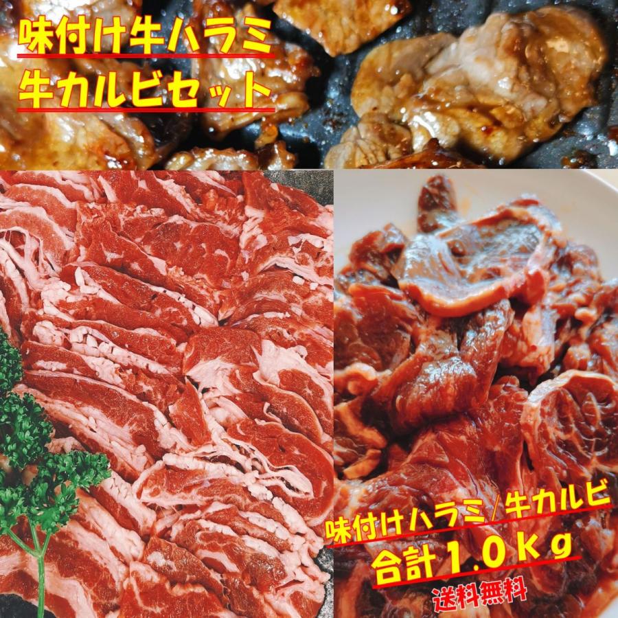 肉 バーベキュー 食材 牛肉 焼肉セット バーベキュー 肉 味付け ハラミ BBQ 肉 バラ カルビ バーベキューセット 食材 焼肉 BBQ 食材 1kg 4〜6人前