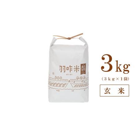 ふるさと納税 [A017] 能登のこだわり自然栽培こしひかり『羽咋米』 ３kg 石川県羽咋市