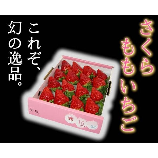 いちご さくらももいちご イチゴ 苺 20粒 化粧箱入り 送料無料 12〜4月にお届け