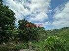 東山南勢2.7公頃便宜山坡林地｜台南市東山區下南勢段