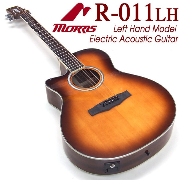 お1人様1点限り】 Breedlove USA C21 Moon Light