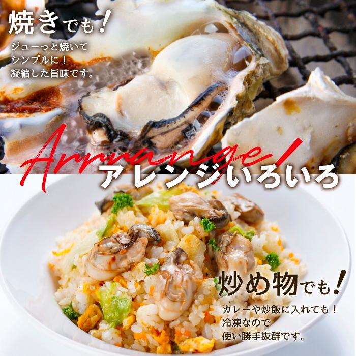 冷凍 ハーフシェル 真牡蠣(生食可)20個（2袋×10個入り） 九十九島産［プロトン冷凍 グレーズ処理 UV殺菌済］マルモ水産