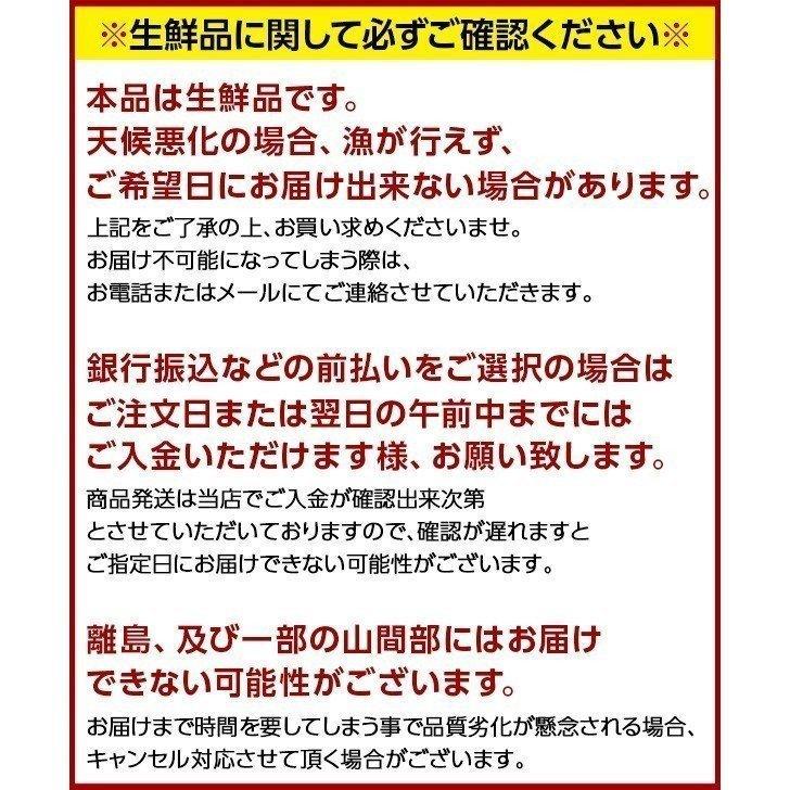 12月16〜17日お届け 生牡蠣 かき カキ 牡蠣 北海道 厚岸産 まるえもん 殻付き 10個 Lサイズ 生食可 鍋 ギフト 内祝 送料無料