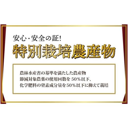 ふるさと納税 福井県 あわら市 マルセイユメロン 3〜5玉入「ユメマル」5kg 《とろけるような食感の絶品 赤肉メロン》／ 果物 フルーツ 産地直送 …