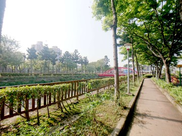 桃園東區日系電梯透天｜桃園市桃園區鎮三街