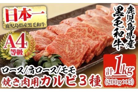 a484 鹿児島県産黒毛和牛(A4等級)焼肉用スライス牛肉(計1kg)カルビ3種詰め合わせセット