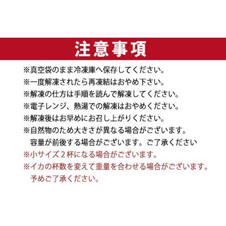 ふるさと納税 唐津呼子産いか活造り 1杯(約250g前後) 急速冷凍 新鮮そのまま食卓へ！イカ 刺身 簡単 ギフト 佐賀県唐津市