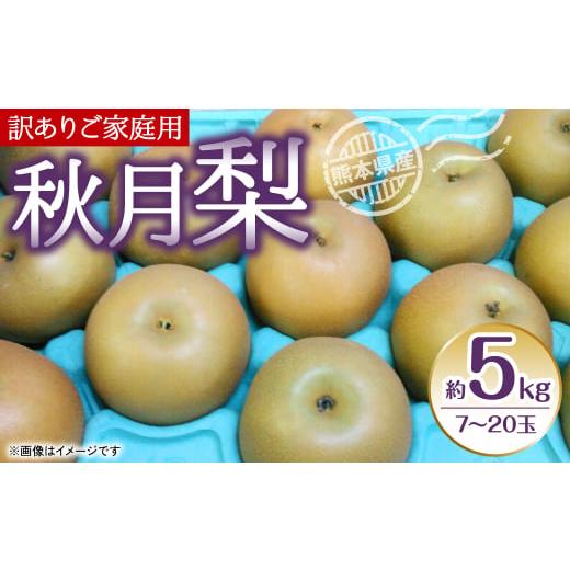 ふるさと納税 熊本県 八代市 秋月梨 ご家庭用 約5kg (7〜20玉) 梨 なし 秋月