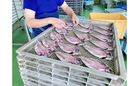 カマスの開き干物15枚セット 冷凍 ひらき カマス かます さかな 魚 海鮮 バーベキュー BBQ アウトドア ギフト 子供 おつまみ おかず ごはん 贈答 プレゼント 開き ひもの 干物