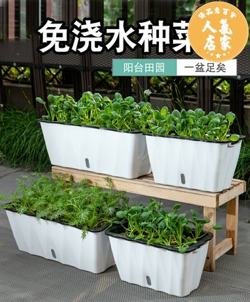 自動吸水花盆種菜神器家庭陽臺長方形懶人花槽塑料種植箱蔬菜盆栽