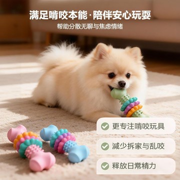 💕在臺出貨🔥狗狗新品寵物玩具玩具TPR泰迪潔齒骨頭肉片解悶磨牙橡膠套裝