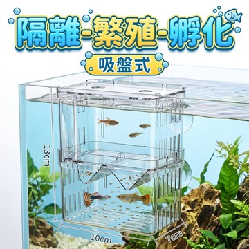 魚缸孵化盒 孔雀魚繁殖盒 孔雀魚鬥魚隔離盒 小魚產卵器 水族繁殖盒